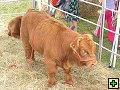 thn_NZ leden-unor 2006 080.jpg